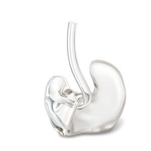 Индивидуальный ушной вкладыш Индивидуальный ушной вкладыш